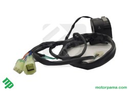 pulsantiera cf moto 450 (4)